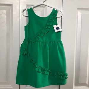 Gorgeous Brand New Janie and Jack Dress!